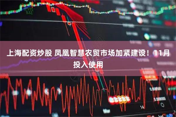上海配资炒股 凤凰智慧农贸市场加紧建设！11月投入使用