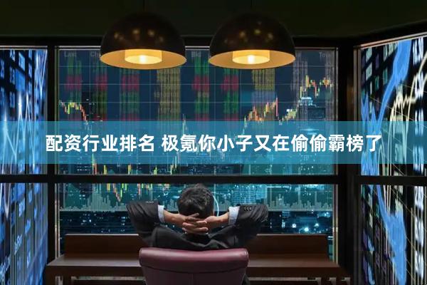 配资行业排名 极氪你小子又在偷偷霸榜了