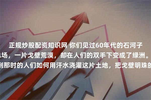 正规炒股配资知识网 你们见过60年代的石河子吗？60年代的石河子总场，一片戈壁荒漠，却在人们的双手下变成了绿洲。珍贵的影像里，能看到那时的人们如何用汗水浇灌这片土地，把戈壁明珠的梦想照进现实。老照片里的集体劳动场景，让人震撼不已。这不仅是一座城市的开端，更是一代人拼搏精神的见证。历史影像石河子戈壁明珠