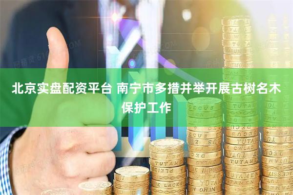 北京实盘配资平台 南宁市多措并举开展古树名木保护工作