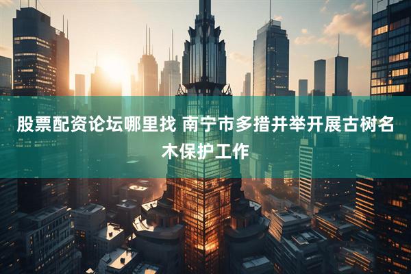 股票配资论坛哪里找 南宁市多措并举开展古树名木保护工作