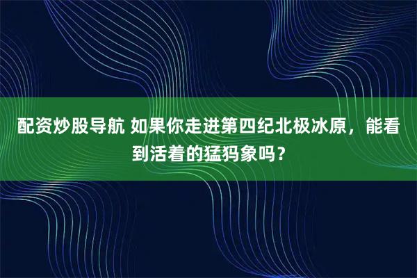 配资炒股导航 如果你走进第四纪北极冰原，能看到活着的猛犸象吗？